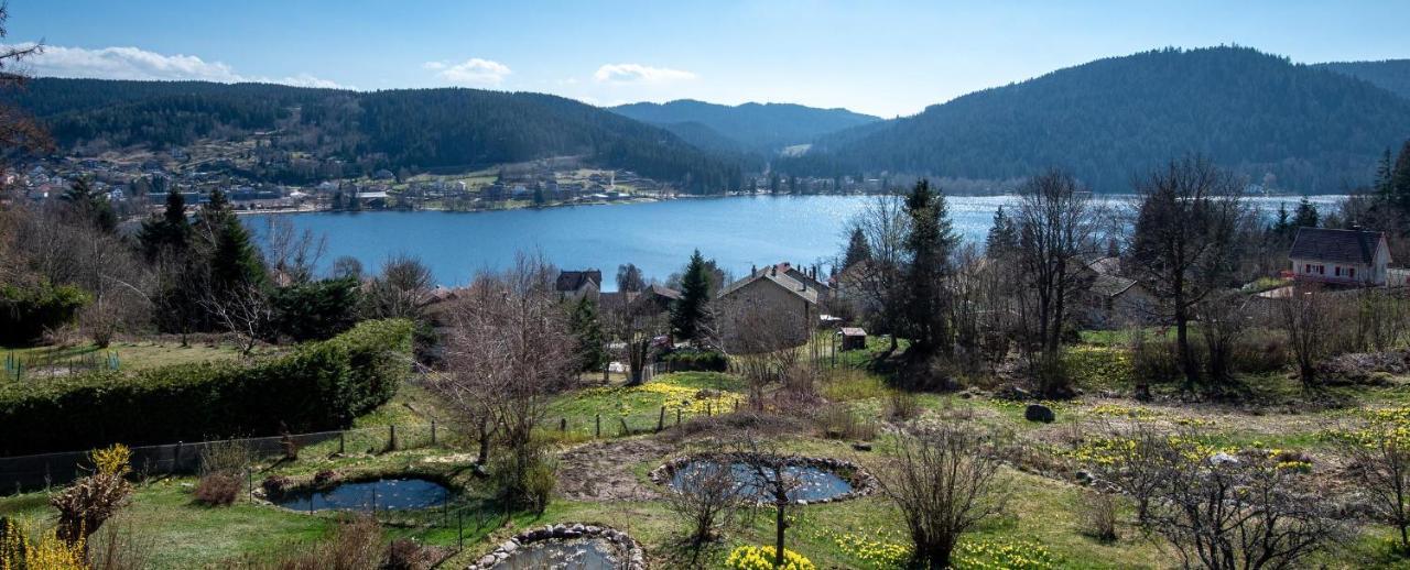 Moho Mountain Home Gérardmer Екстериор снимка