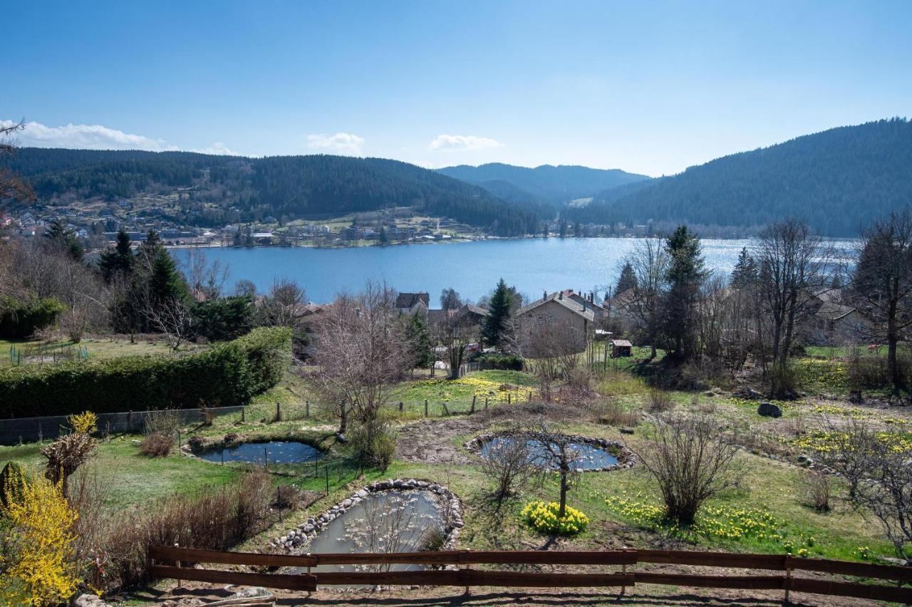 Moho Mountain Home Gérardmer Екстериор снимка