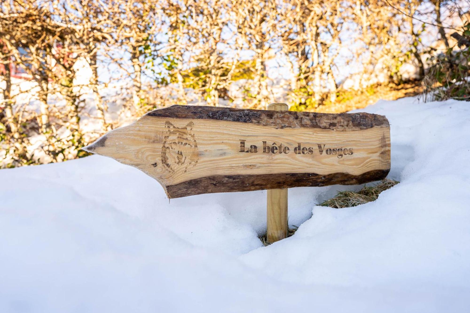Moho Mountain Home Gérardmer Екстериор снимка