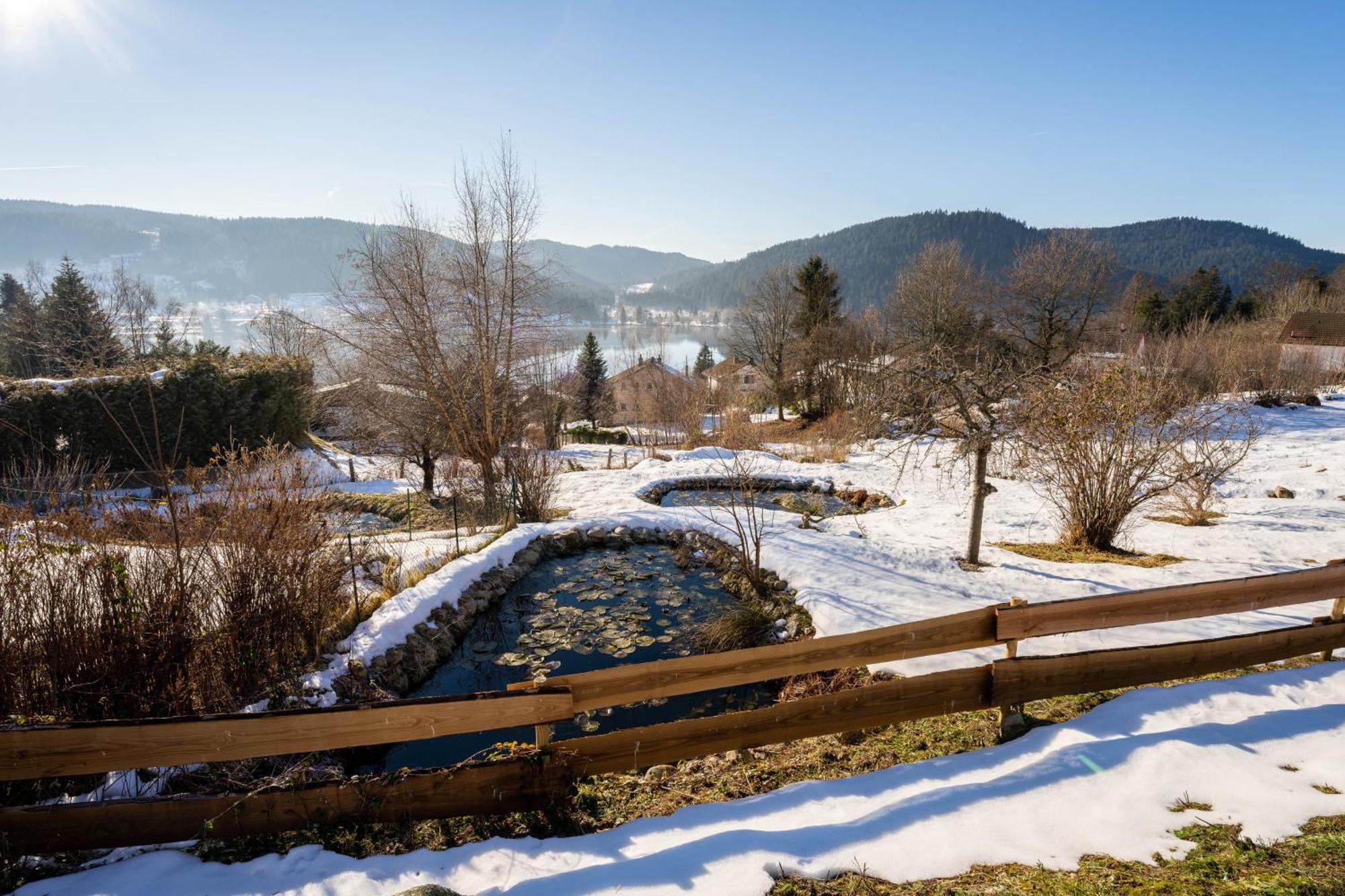 Moho Mountain Home Gérardmer Екстериор снимка